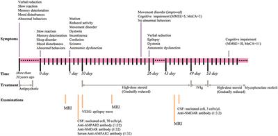Autoimmune Encephalitis With Psychotic Manifestations and Cognitive Impairment Presenting as Schizophrenia: Case Report and Literature Review